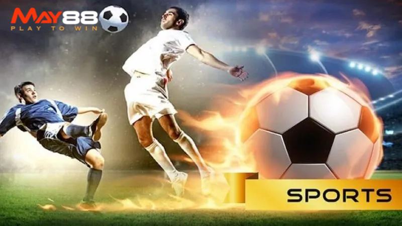 Cá cược bóng đá với hàng loạt trận đấu diễn ra mỗi ngày