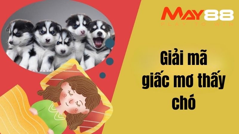 Hành Trình Giải Mã Giấc Mơ Thấy Chó Tìm Kiếm Vận May Trúng Số