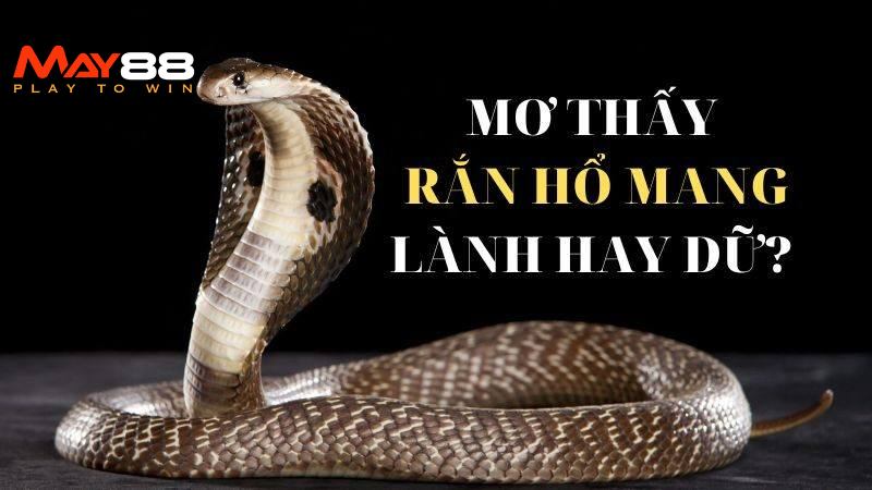 Giải mã giấc mơ thấy rắn hổ mang mang ý nghĩa gì?