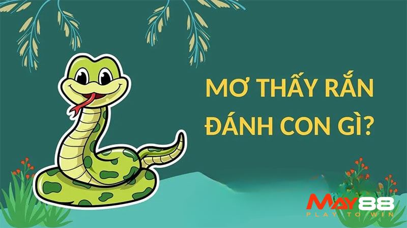 Chiêm bao mơ thấy rắn, chọn số lô đề cực chuẩn 2025