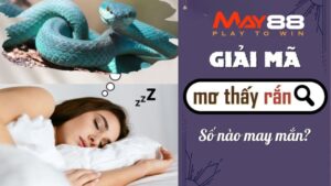 Giải Mã Giấc Mơ Thấy Rắn | May88 Gợi Ý Số Đẹp, Trúng Lớn