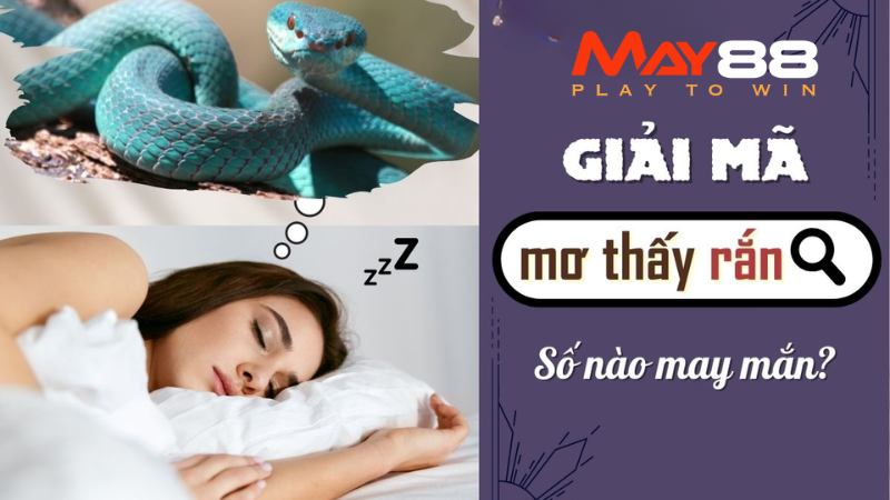 Giải Mã Giấc Mơ Thấy Rắn | May88 Gợi Ý Số Đẹp, Trúng Lớn