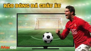 Kèo Bóng Đá Châu Âu | Hướng Dẫn Cách Đọc Kèo Chuẩn Từ May88