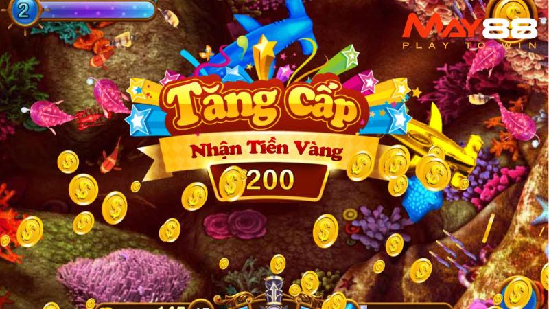 Hướng dẫn phân loại cá, boss và tỷ lệ thưởng