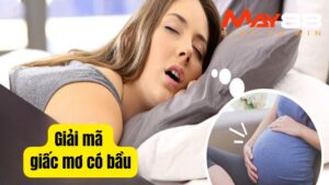 Giải Mã Giấc Mơ Có Bầu Gợi Ý Số Lô Đề Chuẩn Dễ Trúng Nhất